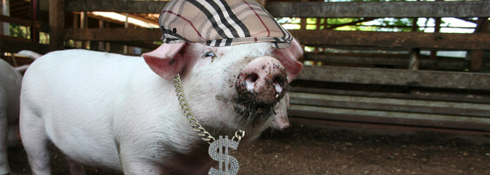 Pigs with bling