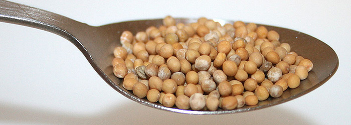 The seed that changes the world